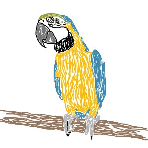 Blue and yellow parrot